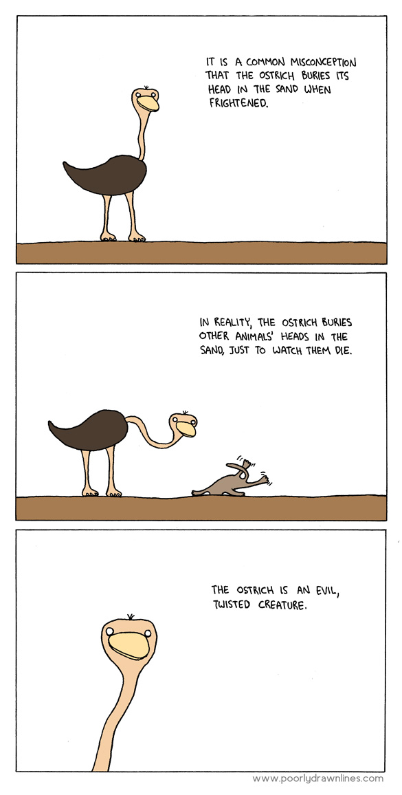 the-ostrich.jpg