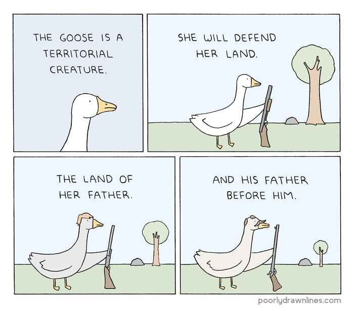 the-goose