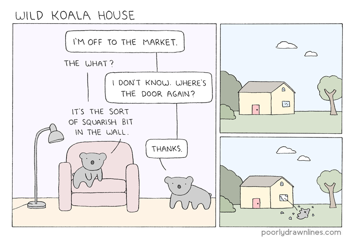 wild-koala-house