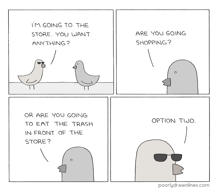 bird-shopping