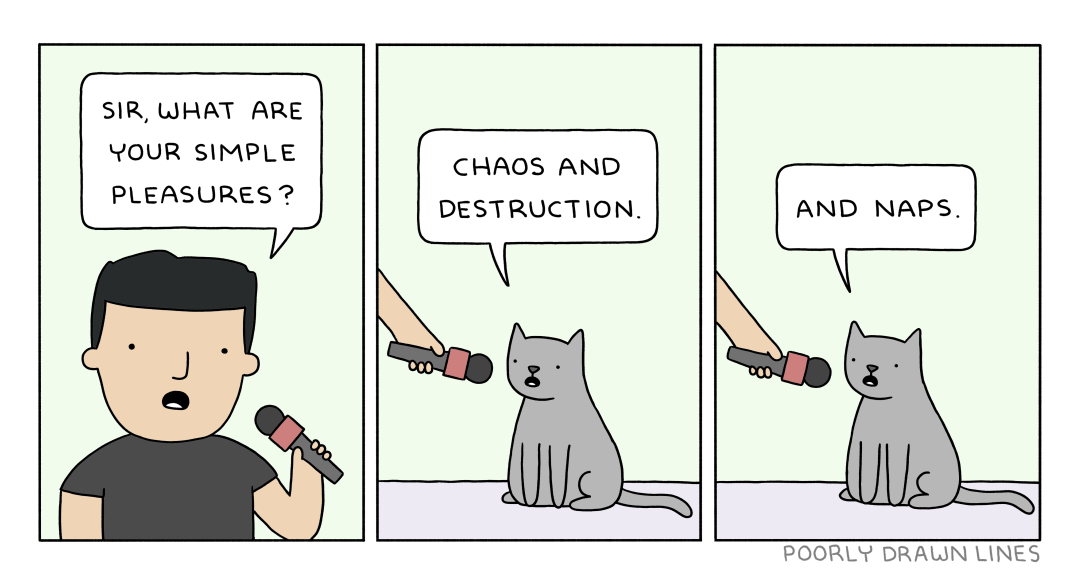 Comic strip asking a cat for its simple pleasures and the cat responding chaos and destruction and naps