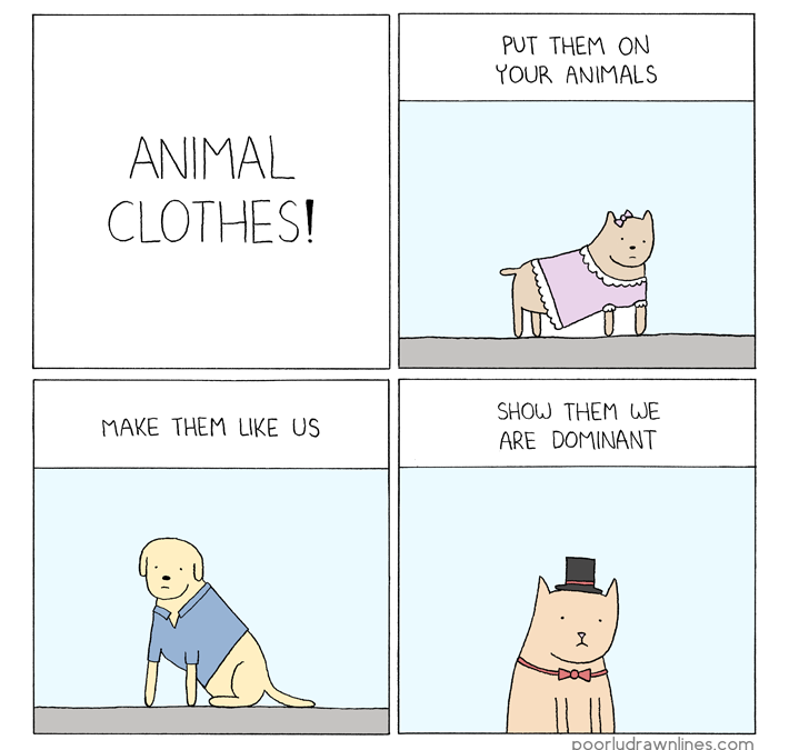 Animal Clothes