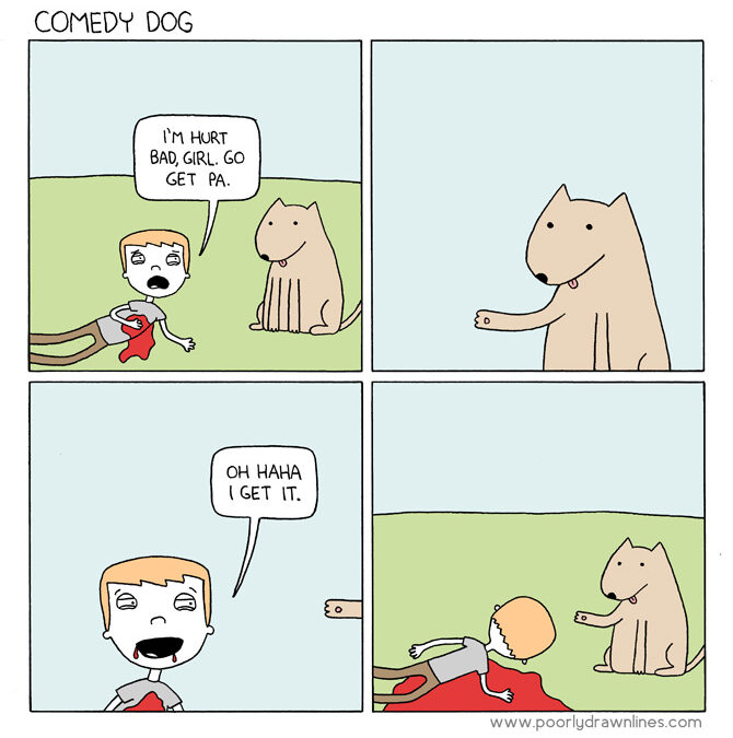 Comedy Dog