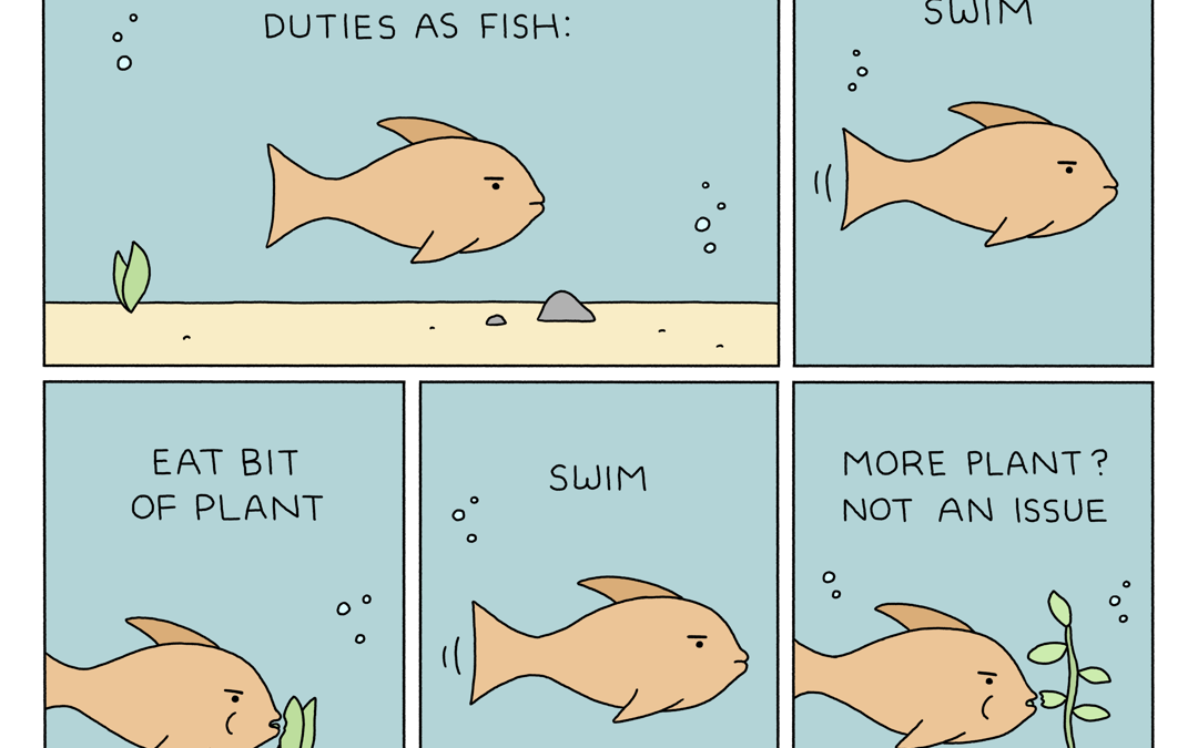 Duties as Fish