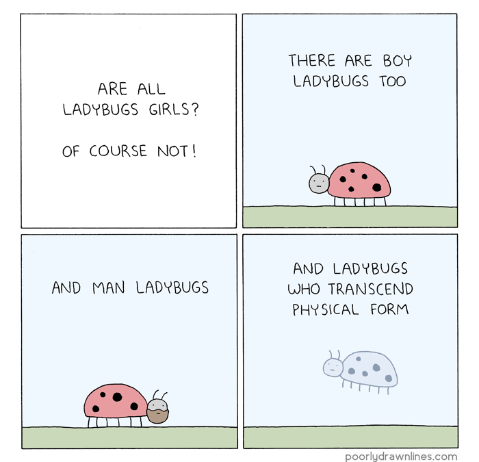 Ladybugs