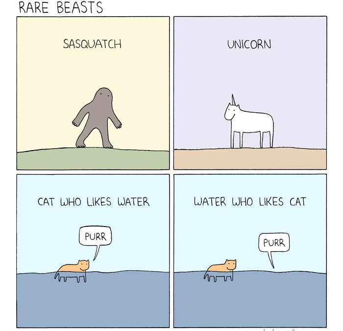 Rare Beasts