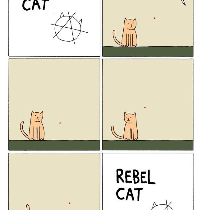 Rebel Cat